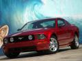 MUSTANG 