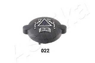 ashika 3300022