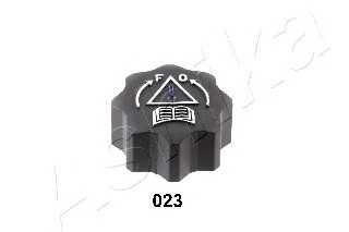 ashika 3300023