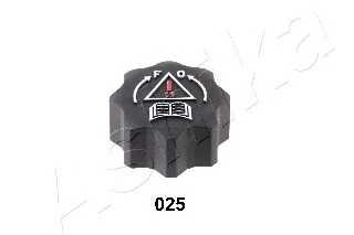 ashika 3300025