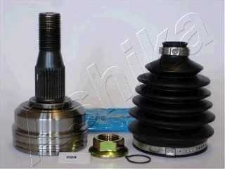 ashika 6200020