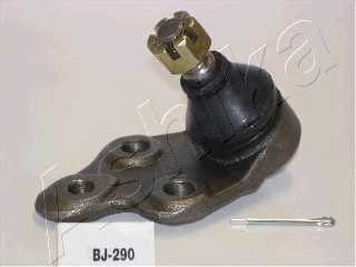 ashika 7302290l