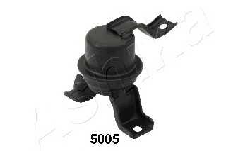 ashika gom5005