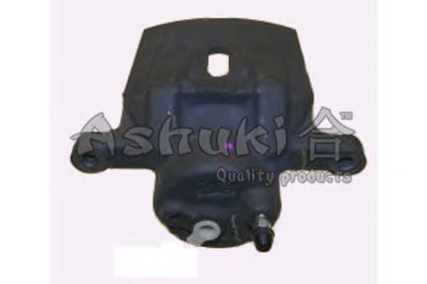ashuki 09665602