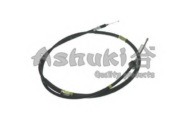 ashuki 11798206