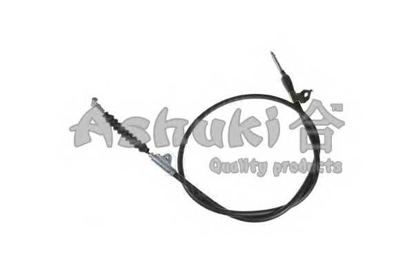 ashuki 11799301
