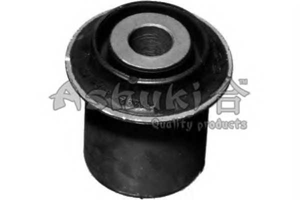 ashuki 12697104