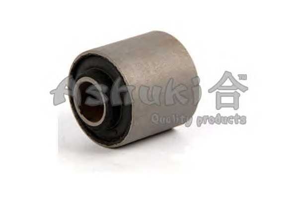 ashuki 12698005