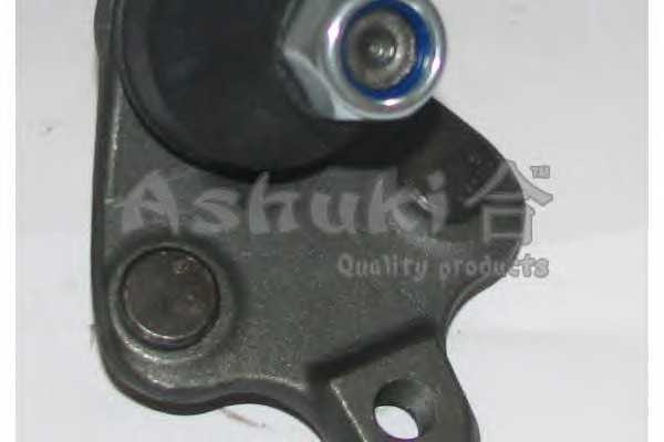ashuki 14580402