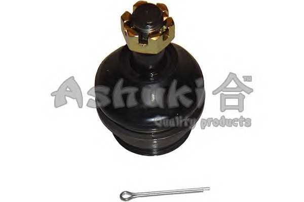 ashuki 14581302