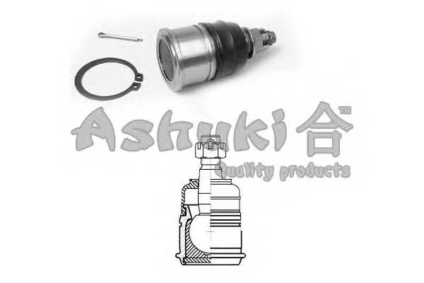 ashuki 14582004
