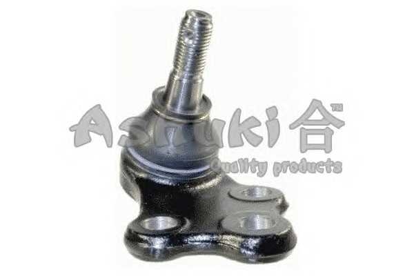 ashuki 14583301