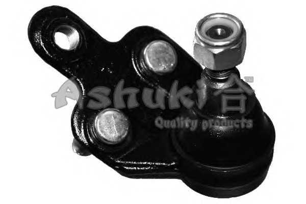 ashuki 14583302