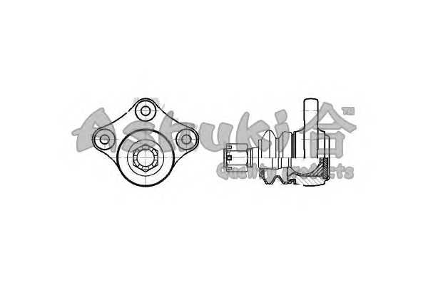 ashuki 14584003