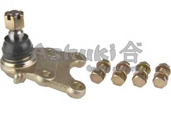 ashuki 14584009