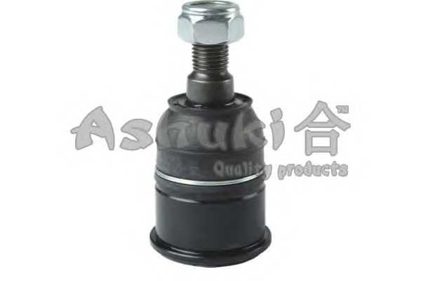 ashuki 14584104
