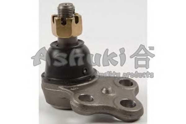 ashuki 14584301