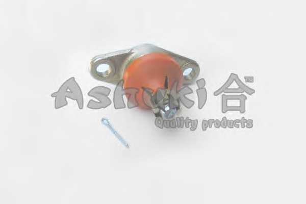 ashuki 14585202
