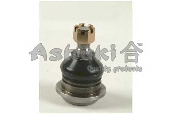 ashuki 14586201