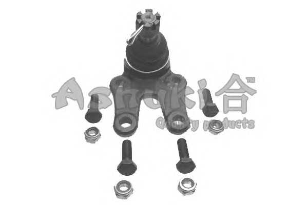 ashuki 14587302