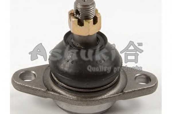 ashuki 14588102