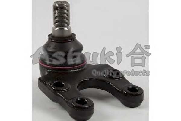 ashuki 14589101