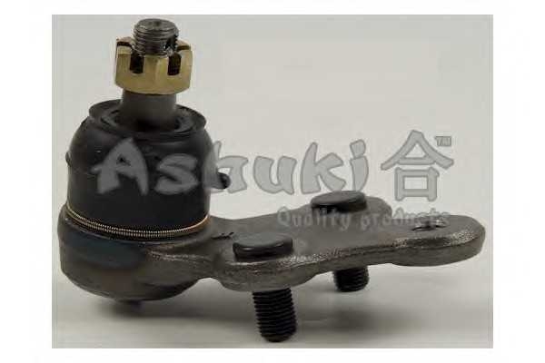 ashuki 14589102