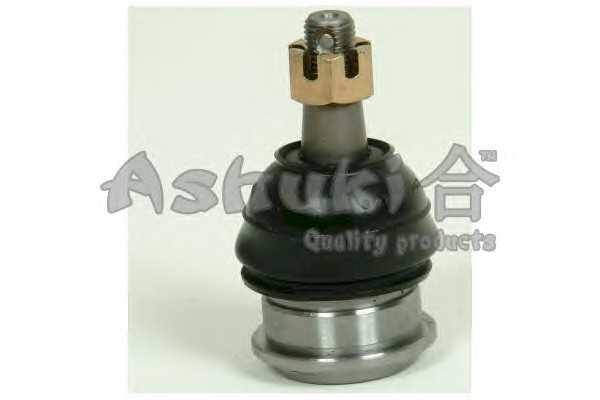 ashuki 14589302