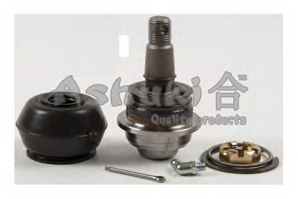 ashuki 14644005