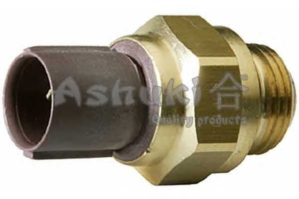 ashuki 16955004