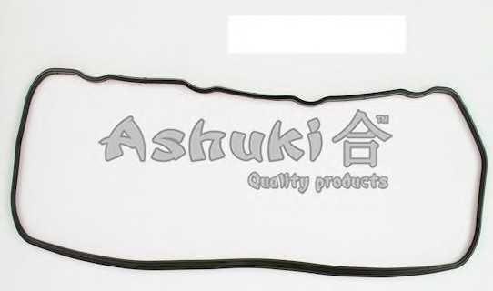 ashuki c20279