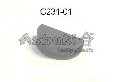 ashuki c23101