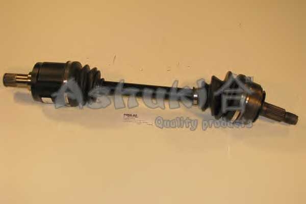 ashuki h06662