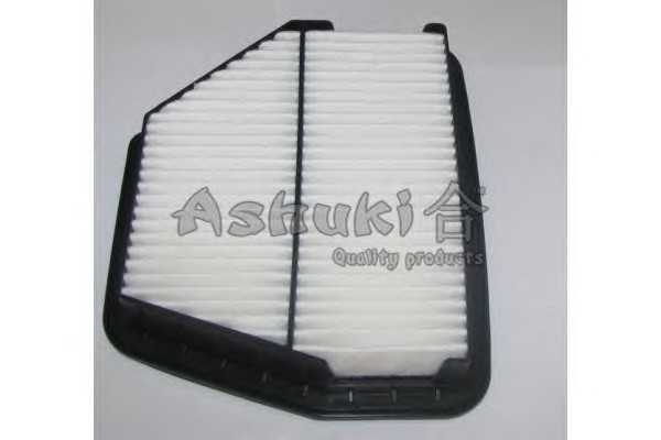 ashuki j00220
