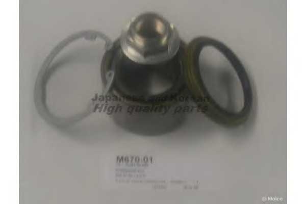 ashuki m67001