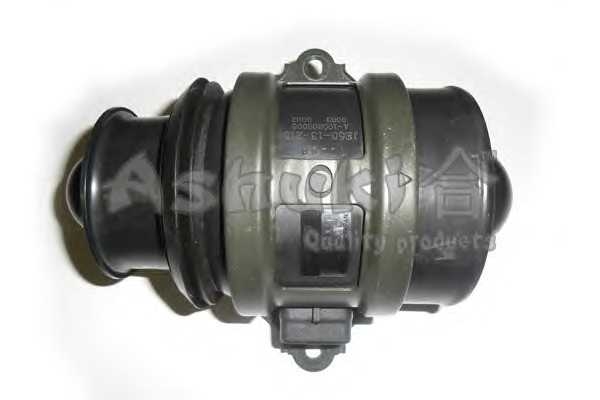 ashuki m86519