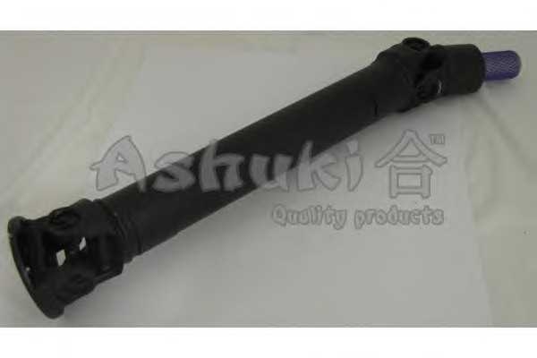 ashuki n04301