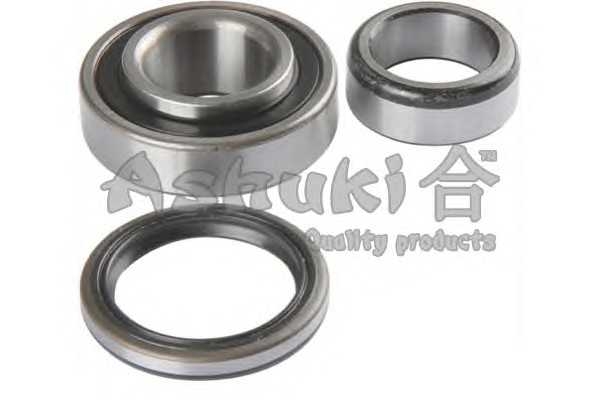 ashuki t06011