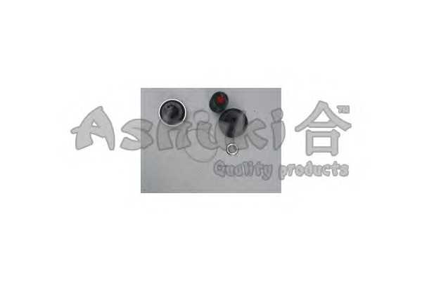 ashuki to2098