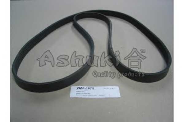 ashuki vm61875