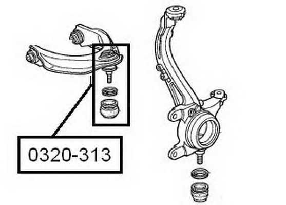 asva 0320313