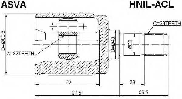 asva hnilacl