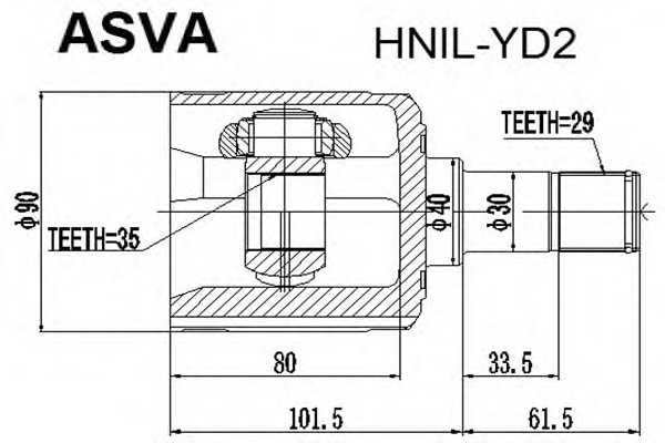 asva hnilyd2
