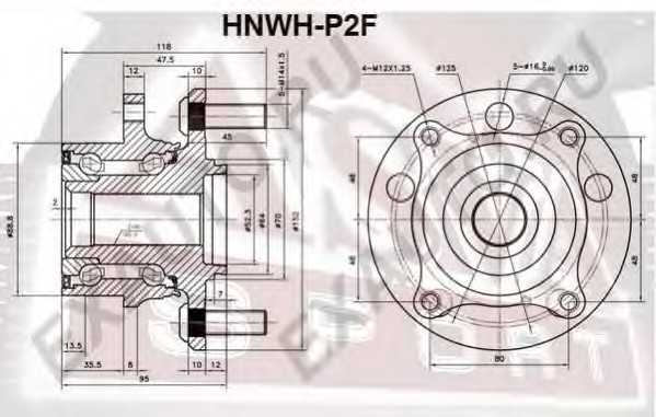 asva hnwhp2f