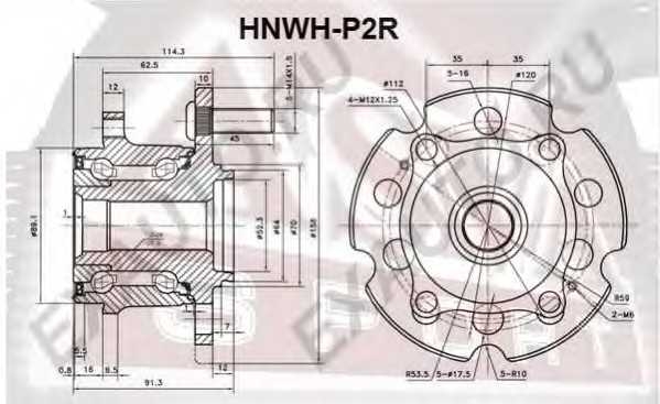 asva hnwhp2r