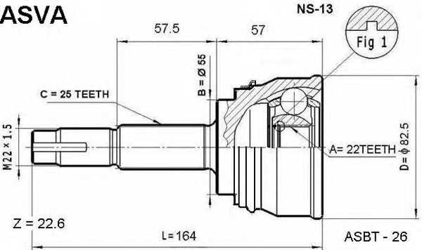 asva ns13