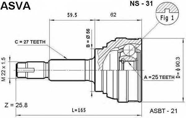 asva ns31