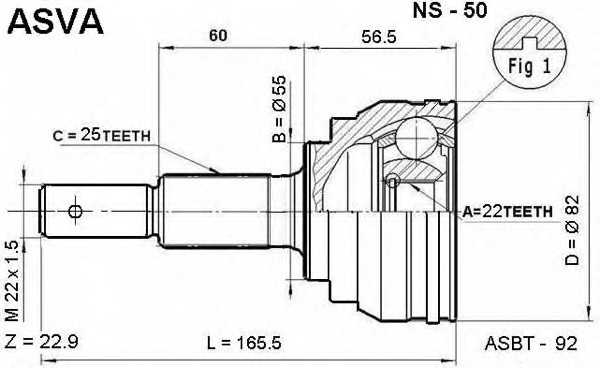 asva ns50