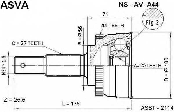 asva nsava44