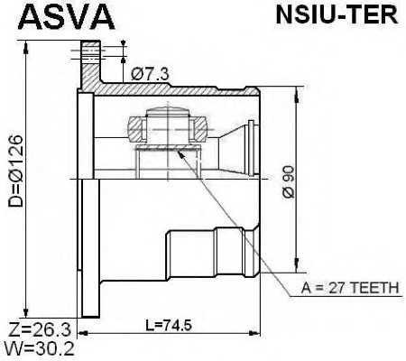 asva nsiuter